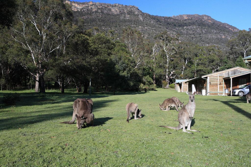 Halls Gap Log Cabins Kamer foto