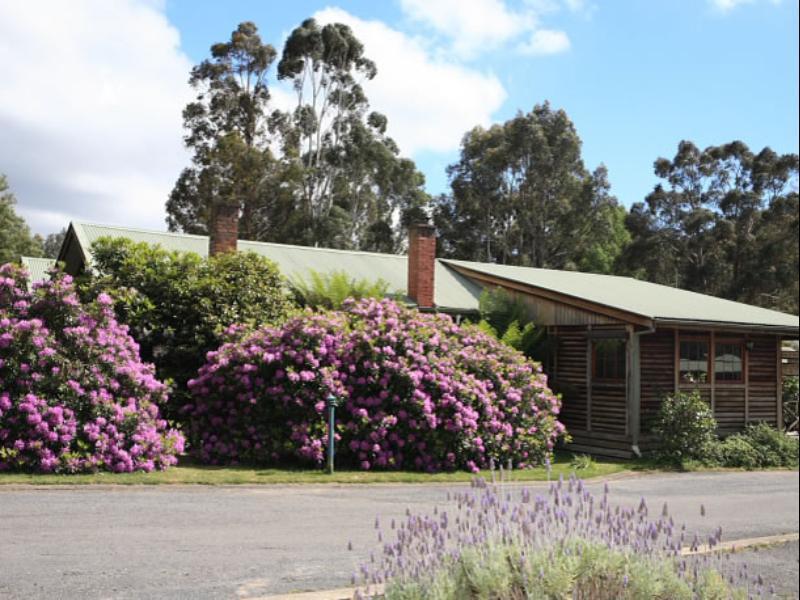 Halls Gap Log Cabins Buitenkant foto