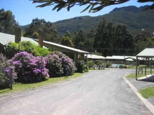 Halls Gap Log Cabins Buitenkant foto